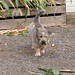 Susan Yoder Photo 7