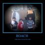 Crystal Roach Photo 13