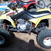 Gregory Wolf Photo 22