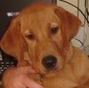 Samantha Ames Photo 32