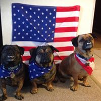 Nancy Earle Photo 23