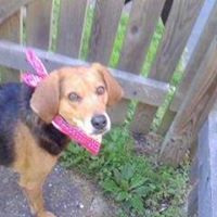 Carol Chamberlain Photo 30