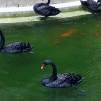 Sandra Seymour Photo 22