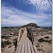 Paul Diaz Photo 26