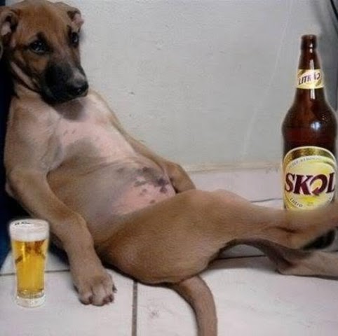 Duane Potter Photo 12