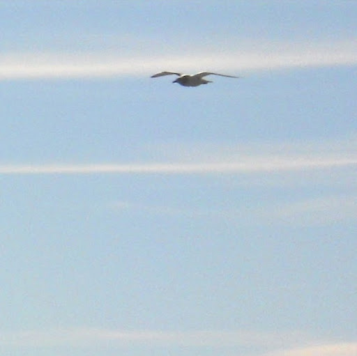 Elizabeth Katz Photo 32 Elizabeth Katz Photo 32