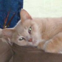 Linda Schafer Photo 18