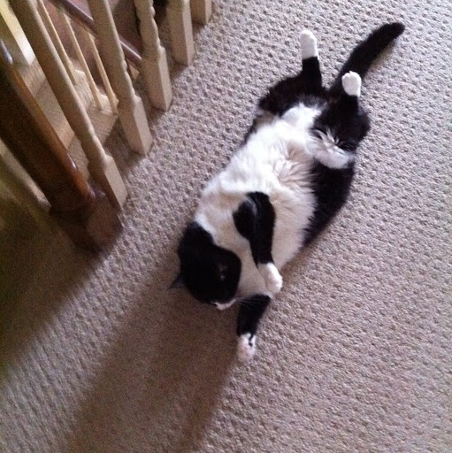 Connie Stokes Photo 33