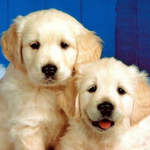 Christina Fitzpatrick Photo 20