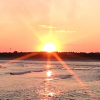 Donna Browning Photo 33