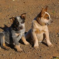 Nancy Agnew Photo 11