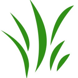 Tracy Barbour Photo 16