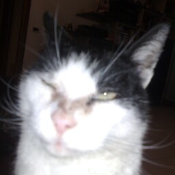 Gary Silva Photo 13 Gary Silva Photo 13