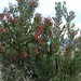 Barbara Bird Photo 14
