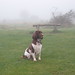 Kent Springer Photo 8
