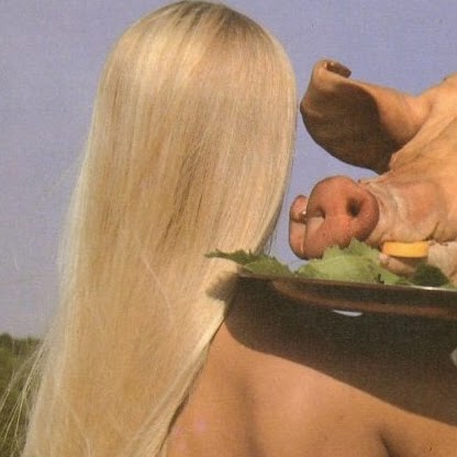 Travis Benton Photo 28