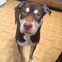 Ronald Dailey Photo 12