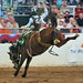 James Brink Photo 27