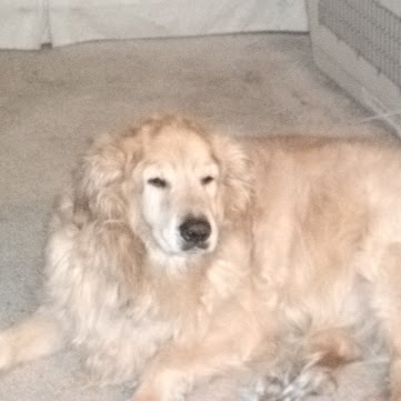 Sylvia Perry Photo 23