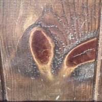 Kenny Redding Photo 7