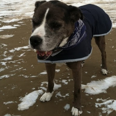 Dallas Thomas Photo 4