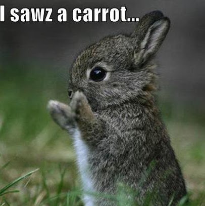 William Stein Photo 16