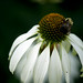 Michelle Swan Photo 28