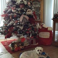 Cheryl Howell Photo 15