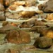 Shannon Creek Photo 12