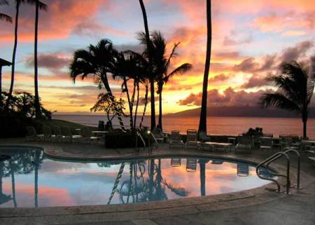 Jane Proctor Photo 19