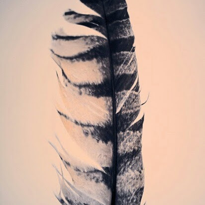 Candace Greene Photo 32