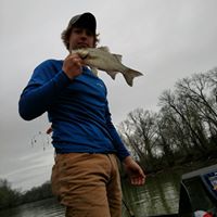 Brandon Hardy Photo 19