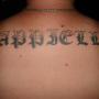 Nick Cappiello Photo 8