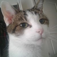 Catherine Riley Photo 13