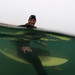 Nick Cook Photo 19