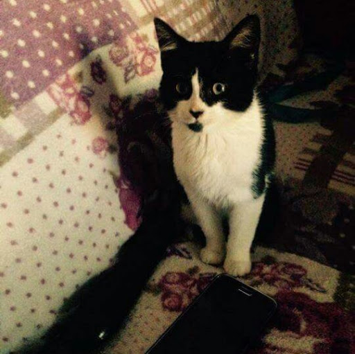 Sadie Jenkins Photo 12