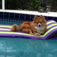 Janice Wilbert Photo 3