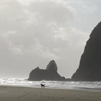 Stephen Grove Photo 24