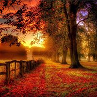 Joy Fitzpatrick Photo 10