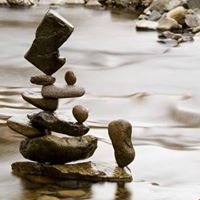 Mark Jefferies Photo 31 Mark Jefferies Photo 31