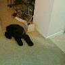 Stephanie Shipp Photo 34