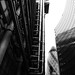 Richard Morin Photo 27