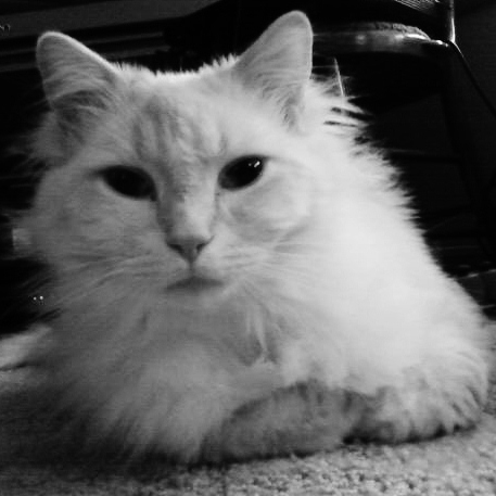 Gilbert Robinson Photo 8