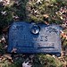 Thomas Hayes Photo 45