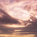 Jennifer Spires Photo 7