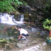 Christine Waters Photo 15