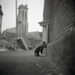 Teddy Weiss Photo 13