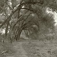 Scott Mcclung Photo 30