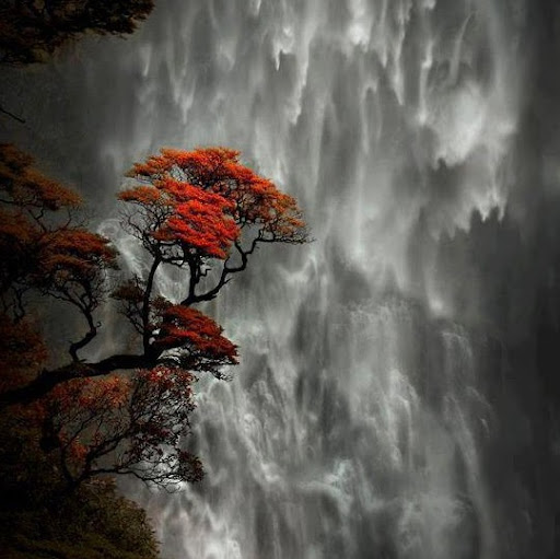 Stephanie Jacobs Photo 19