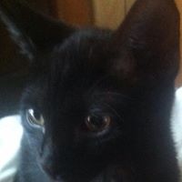 Jeffrey Pickett Photo 15